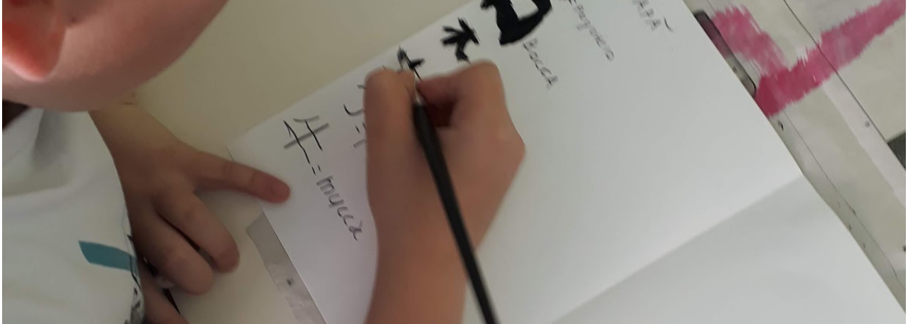 5 dita della stessa mano